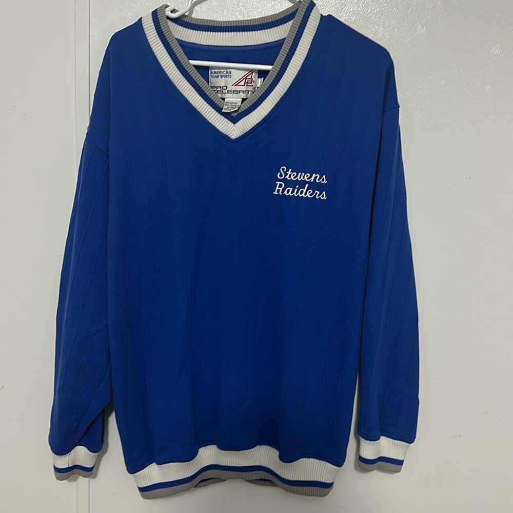 90's pro celebrity v-neck knit stevens raider sweater